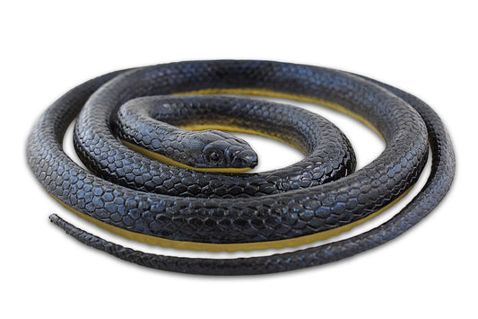 Simon The Snake - Realistic Rubber Fake Snake