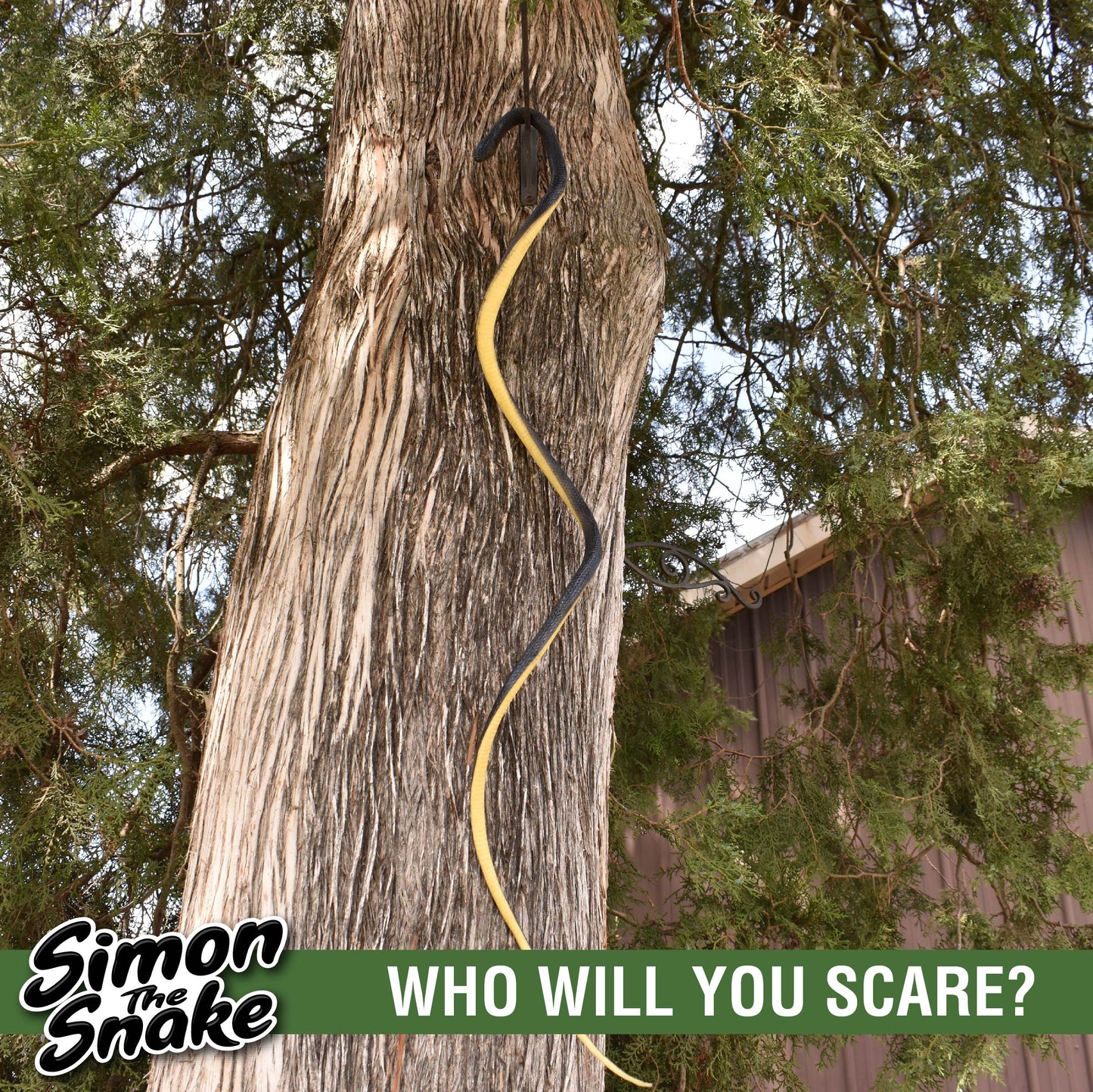 Simon The Snake - Realistic Rubber Fake Snake